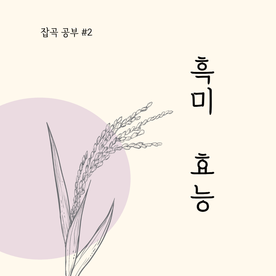흑미 효능