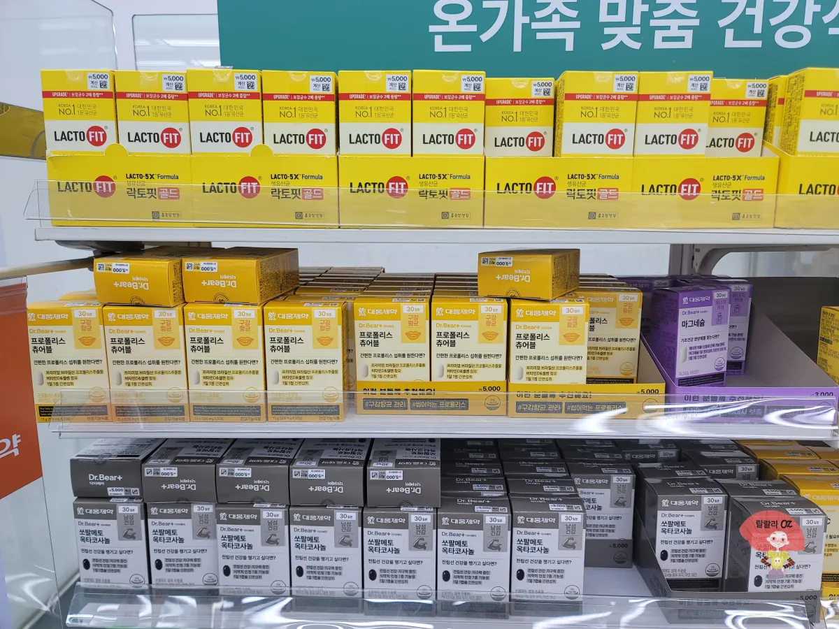 다이소-다산신도시점-유산균-프로폴리스-등-진열상품