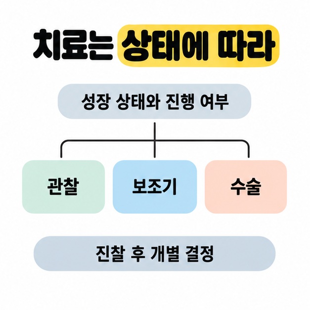 성장 상태와 진행 여부에서 관찰과 보조기 및 수술의 세 선택지로 분기하고 진찰 후 개별 결정하도록 안내하는 도식