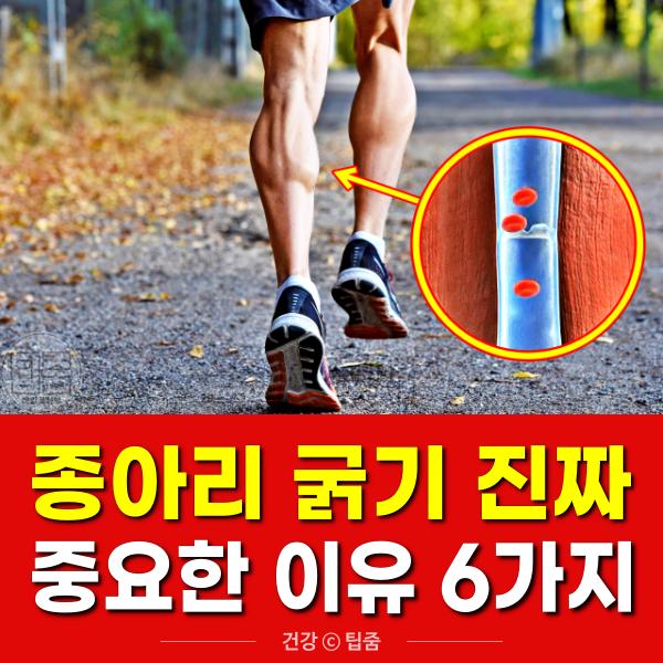 종아리 굵기 건강,종아리굵기 짝짝,팁줌