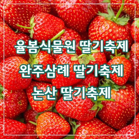 딸기축제-썸네일