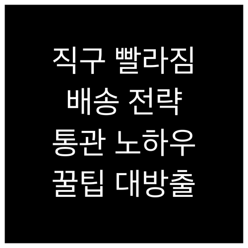 해외직구 빨라지는 비법: 배송 전략부..