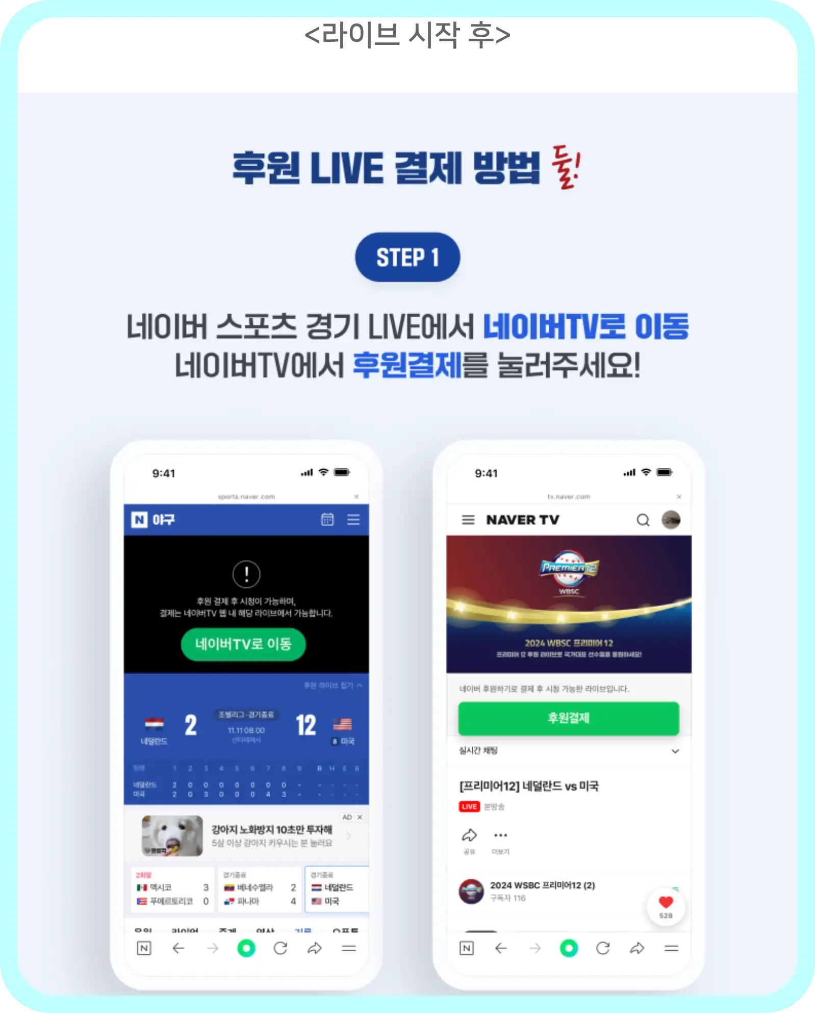 야구 중계