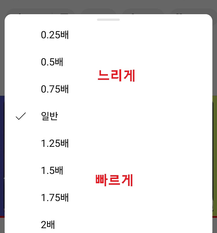 속도 선택 창 보임