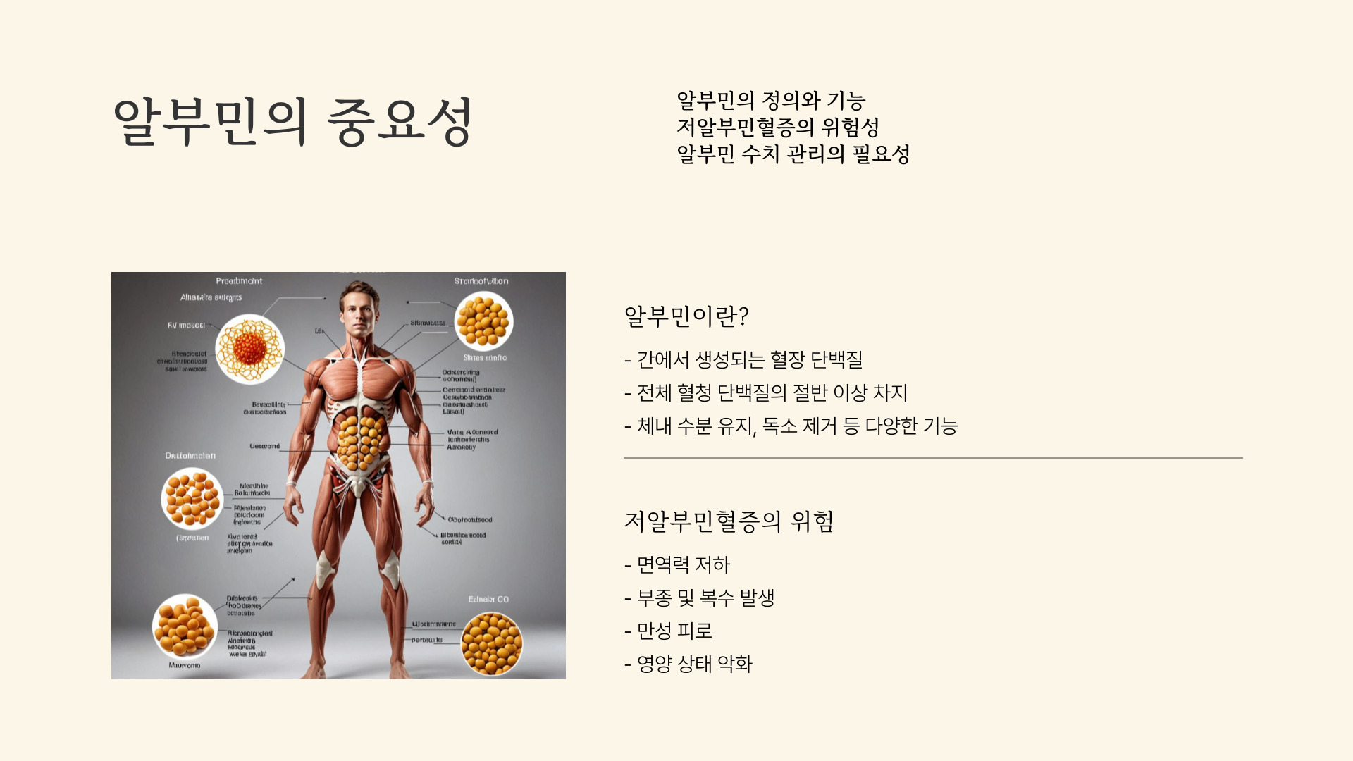 알부민