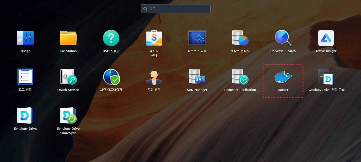 DSM 도커 선택 장면
