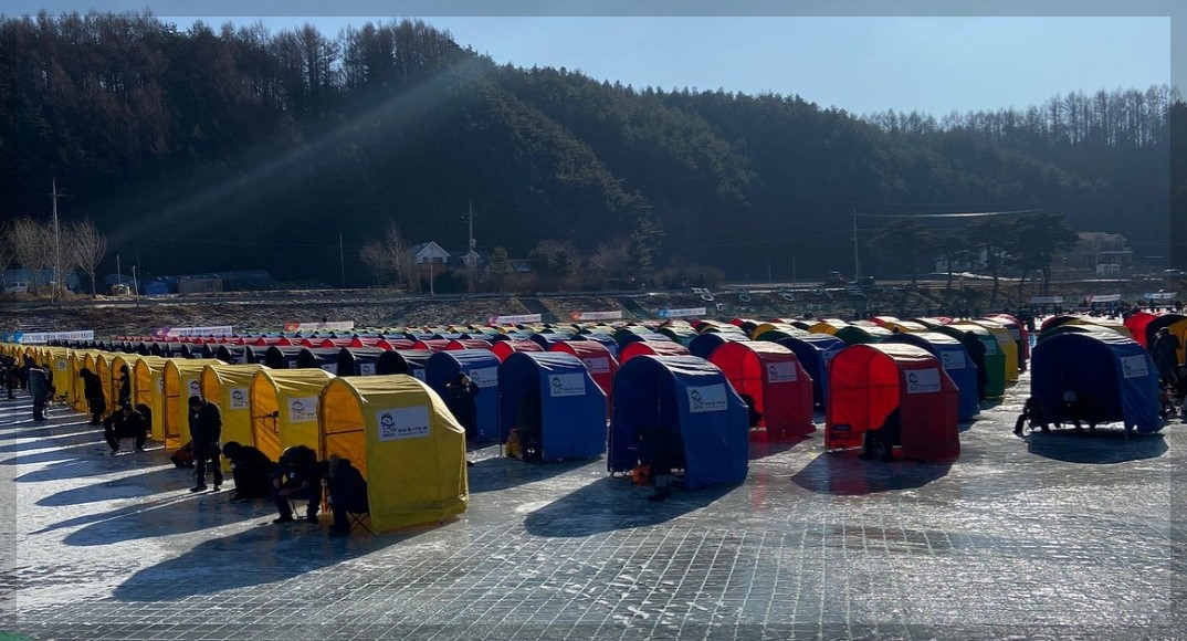 평창 송어 축제