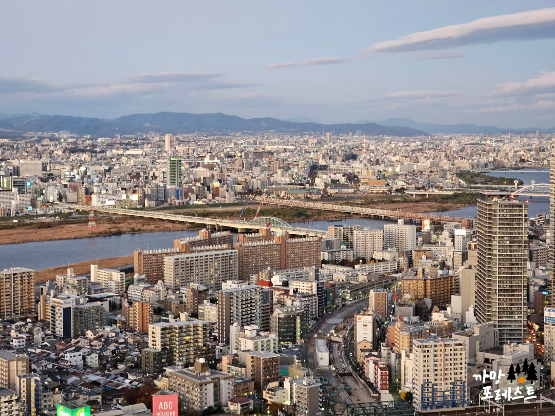오사카 우메다 공중정원 풍경
