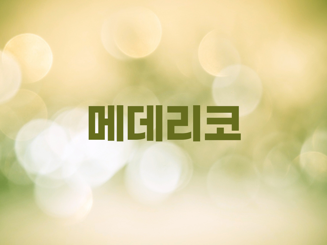 메데리코 천주교 남자세례명