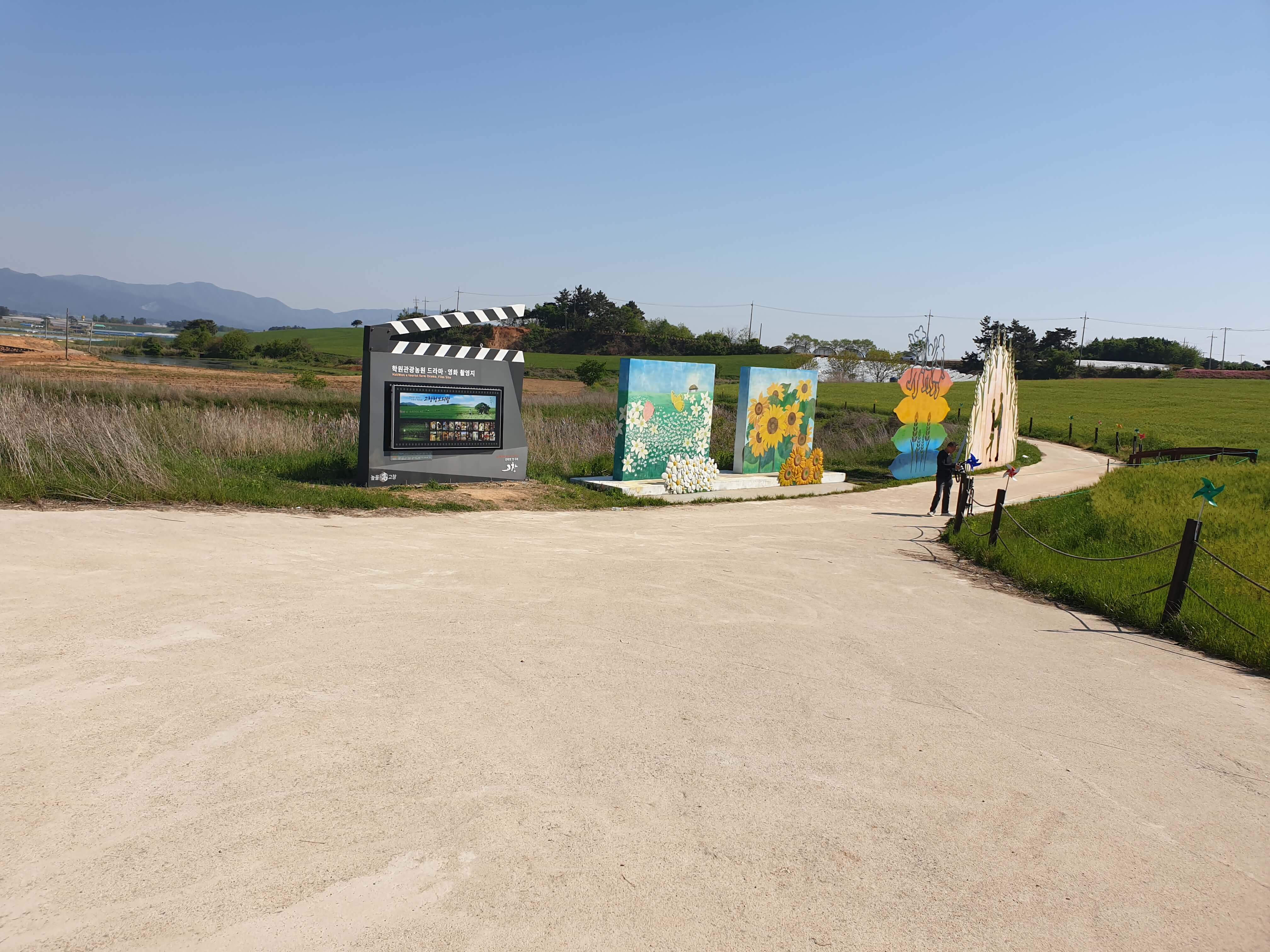 고창 학원농장 청보리밭