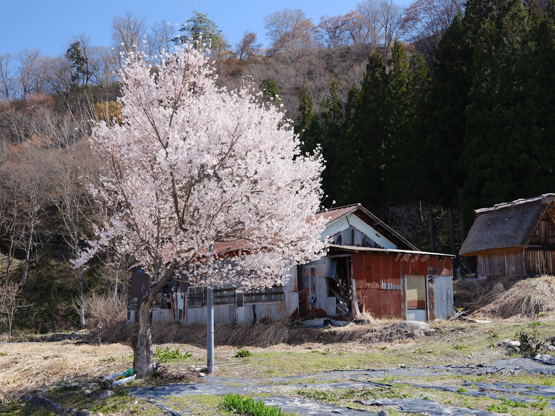 Shirakawa-go