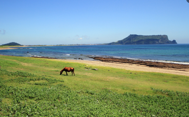 SNS 전국 인기 관광지 추천 요기어때