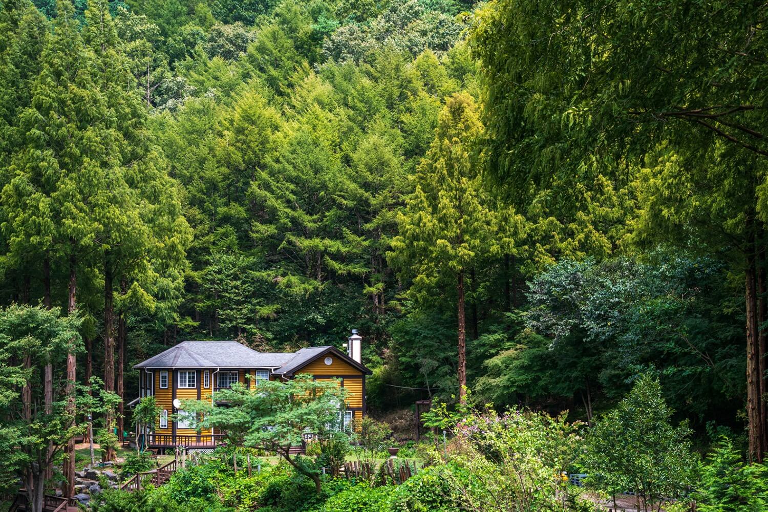 논산 온빛자연휴양림 단풍 명소 예약