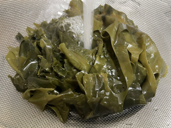 불어난 미역을 흐르는 물에 헹구기