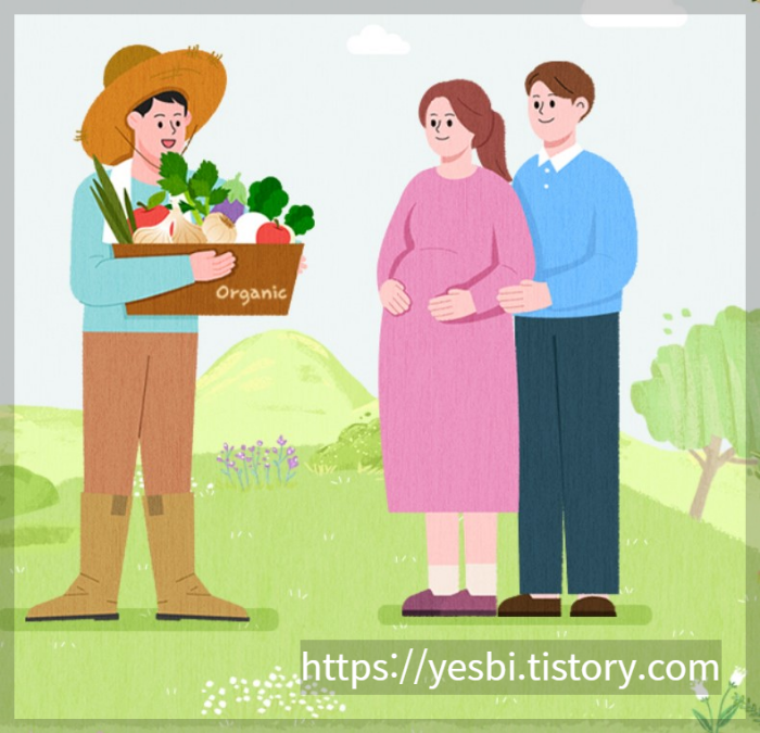 임산부친환경농산물지원사업 안내사업 임산부지원금