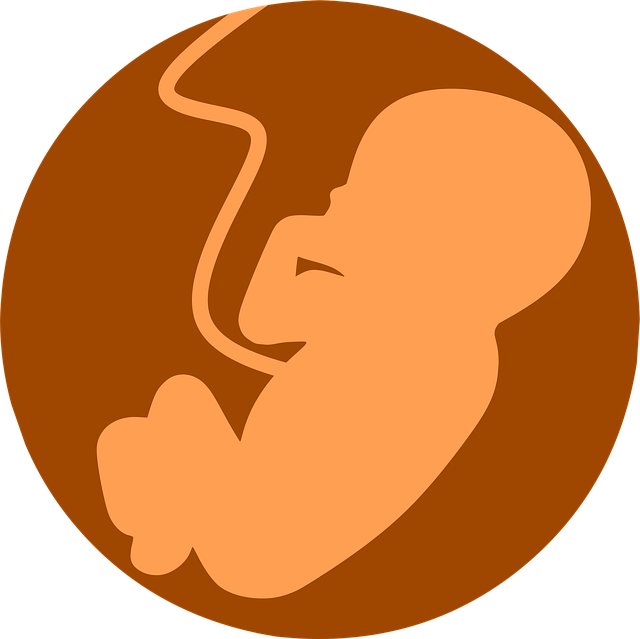 난임부부 시술비 지원 금액