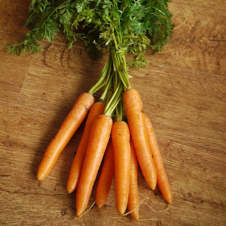 당근이-많이-있는-사진