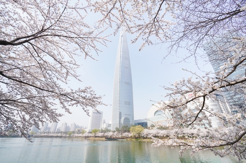 2024 서울 벚꽃 명소 BEST 10