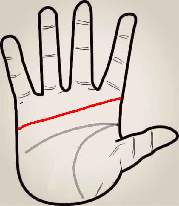 소유욕이 강한 손금