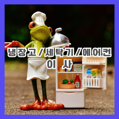 개구리와 냉장고