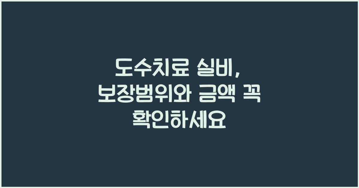 도수치료 실비
