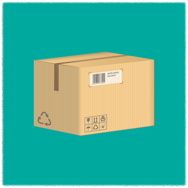 쿠팡 로켓배송 조회