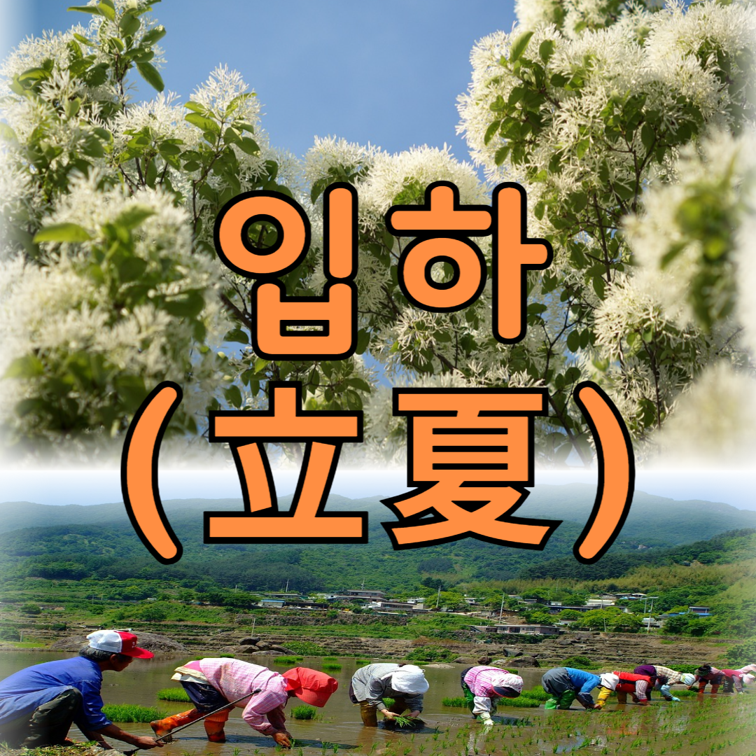 입하