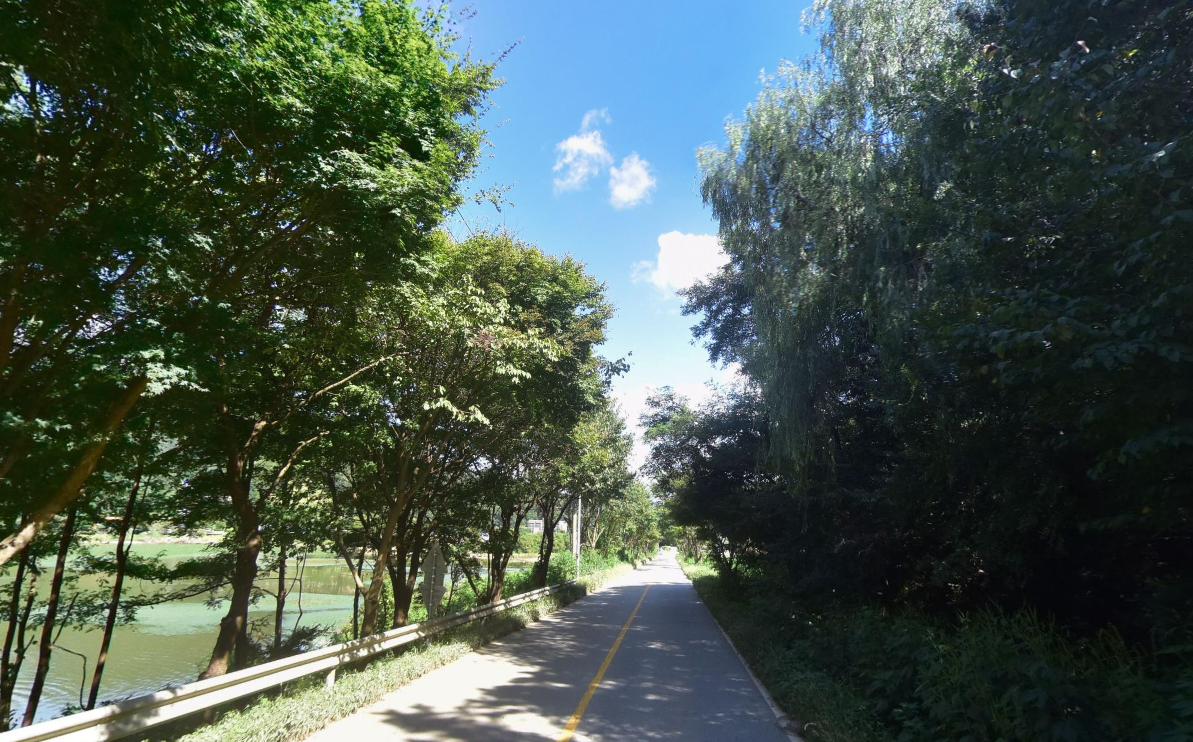 안성 금광호수로 안개 낀 호수의 낭만