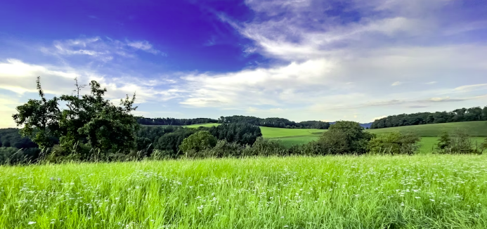 2025 고창 청보리밭 축제 현장 방문 준비물
