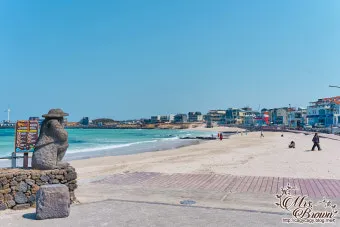 제주 월정리 해변 감성 여행지 카페 거리 소개_21