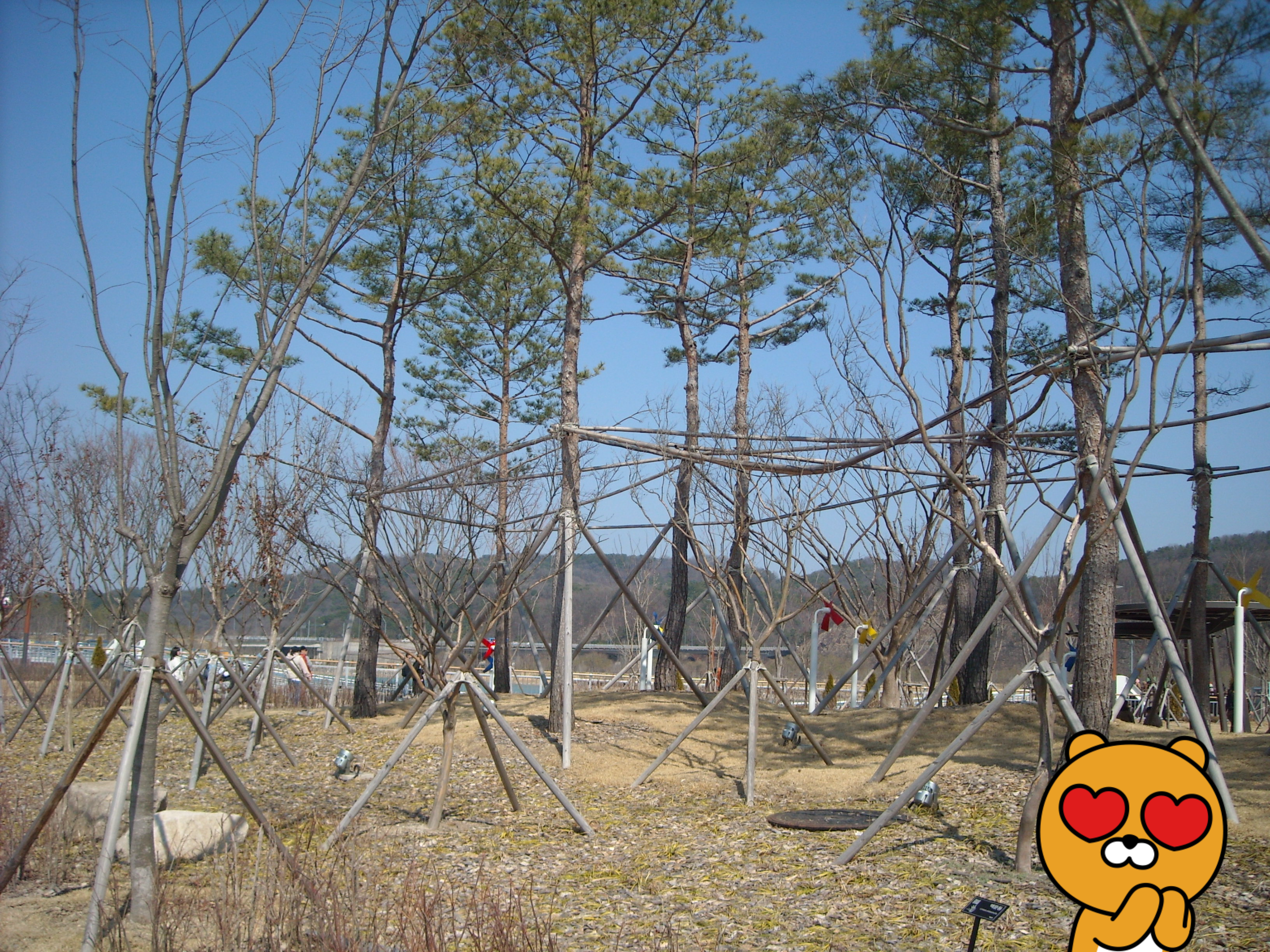 니콘 쿨픽스 s520 nikon coolpix 빈티지 디카 카메라 추천 12