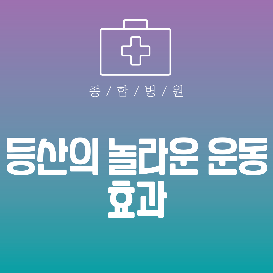 등산의 놀라운 운동 효과