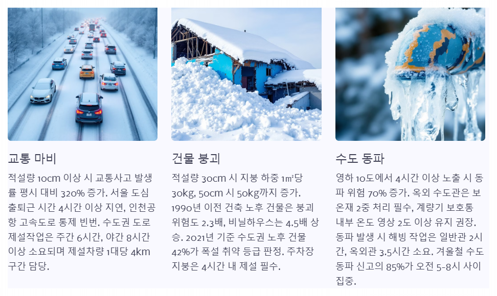 눈으로 인한 피해