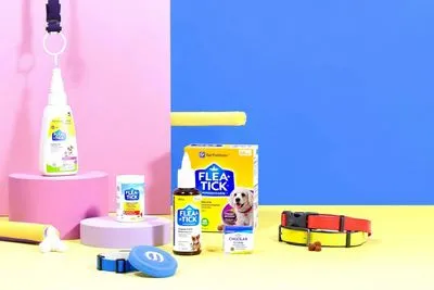 강아지에게 필요한 필수 예방약 리스트