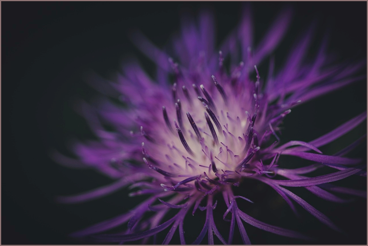 아이오닉5 가격표