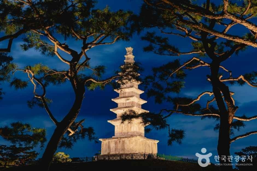 충주 가볼만한 곳