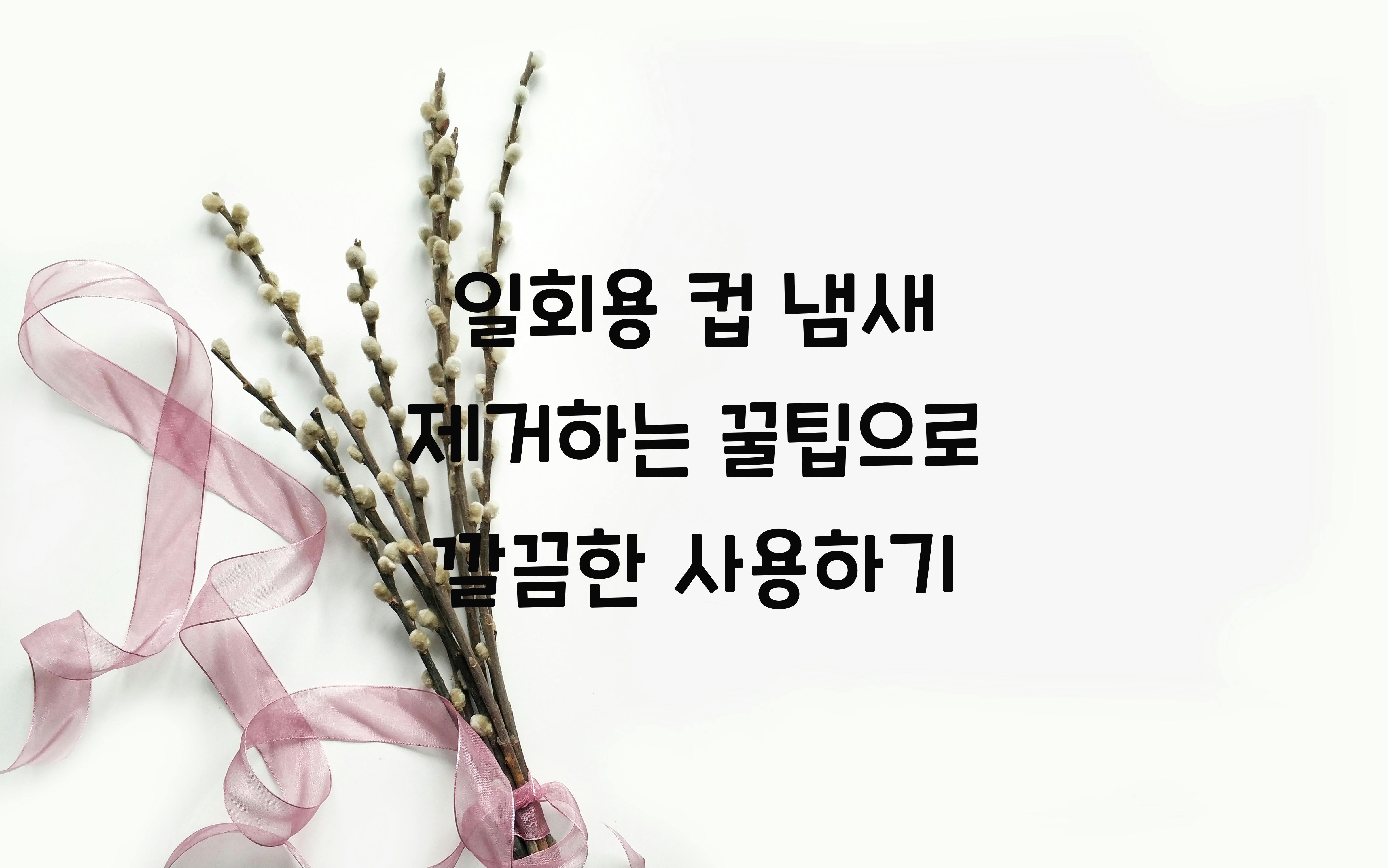 일회용 컵 냄새 제거하는 꿀팁