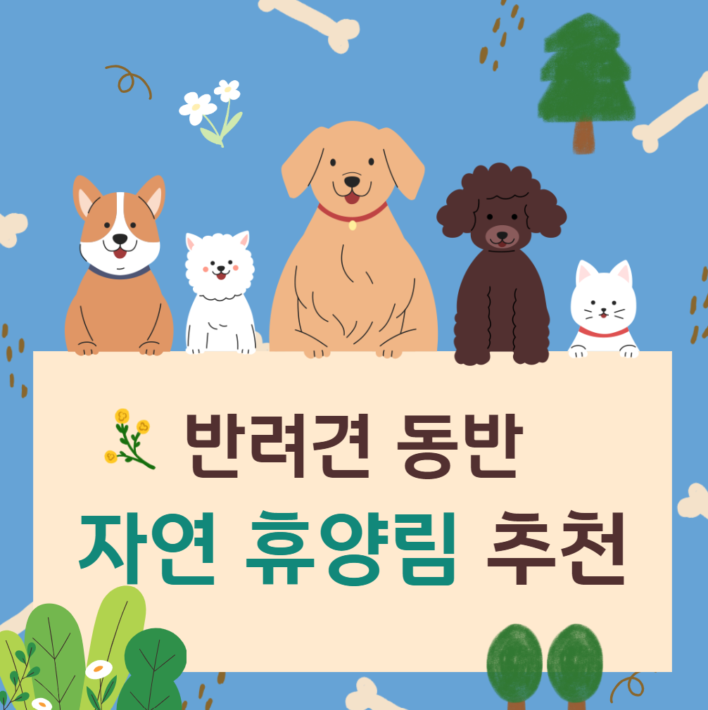 반려견-동반-자연휴양림-추천