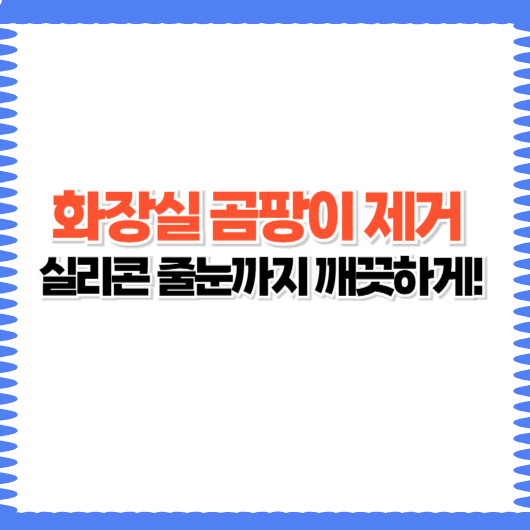 욕실 곰팡이 제거제 추천｜검은곰팡이·핑크곰팡이 완벽 제거법