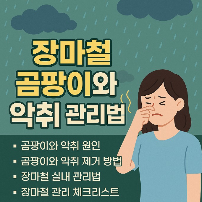 장마철 곰팡이 악취 관리법