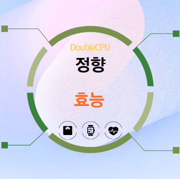 정향 5가지 효능