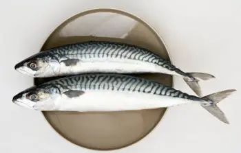 고등어 가격 및 효능, 영양성분과 주의점