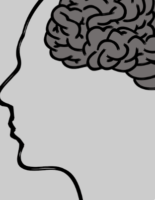 &amp;#39;뇌 에너지 이론