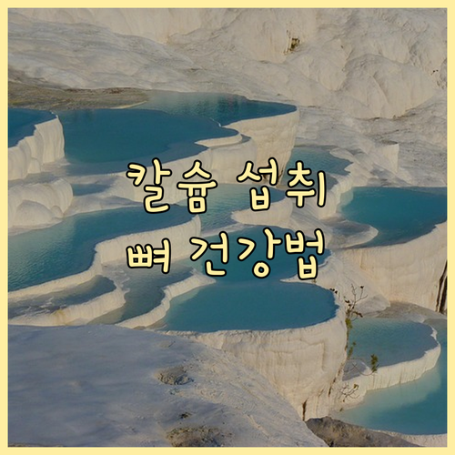 칼슘, 비타민D 섭취법: 뼈 건강 지..