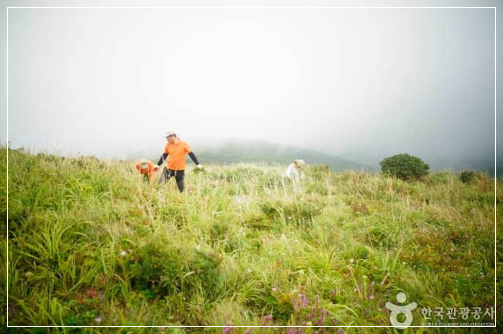 구례 가볼만한곳 베스트10 노고단