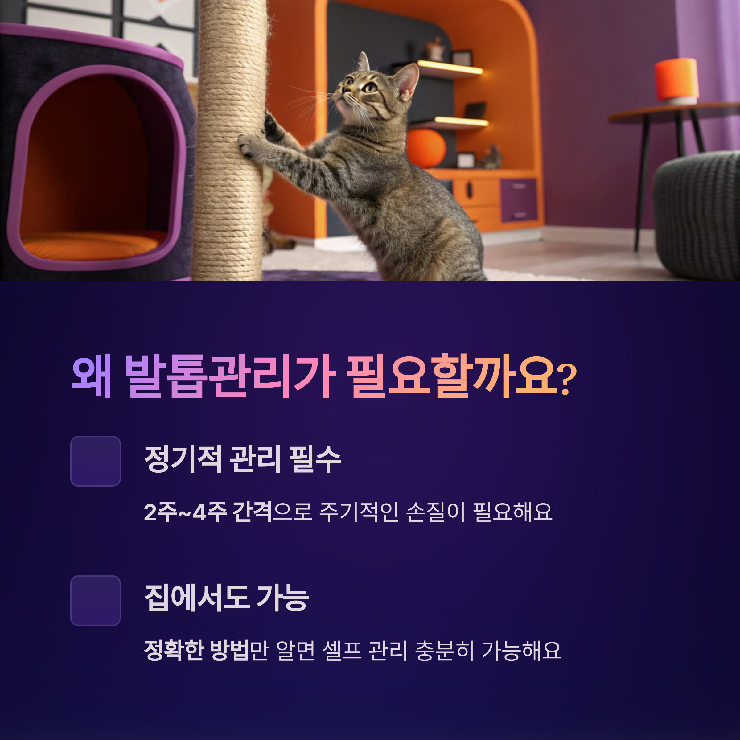 왜 발톱관리가 필요할까요?