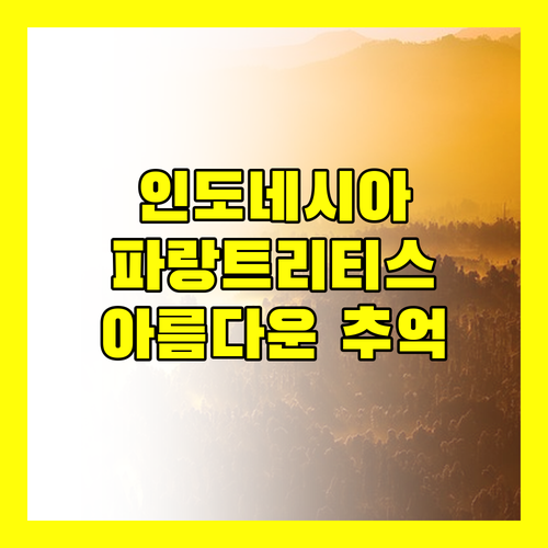 아딘다 비치 호텔 파랑트리티스 해변의