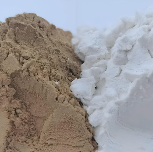 규조토(Diatomite)