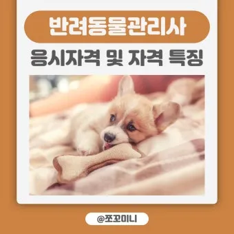 반려동물관리사 자격 교육커리큘럼 실습장비 취업처_26