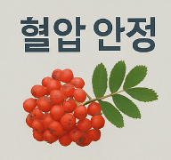 마가목 효능